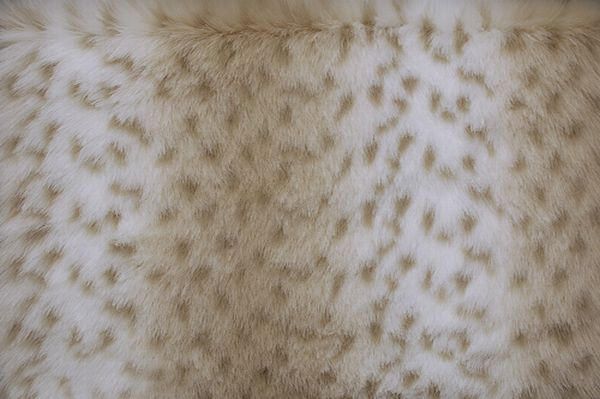 Snow Leopard